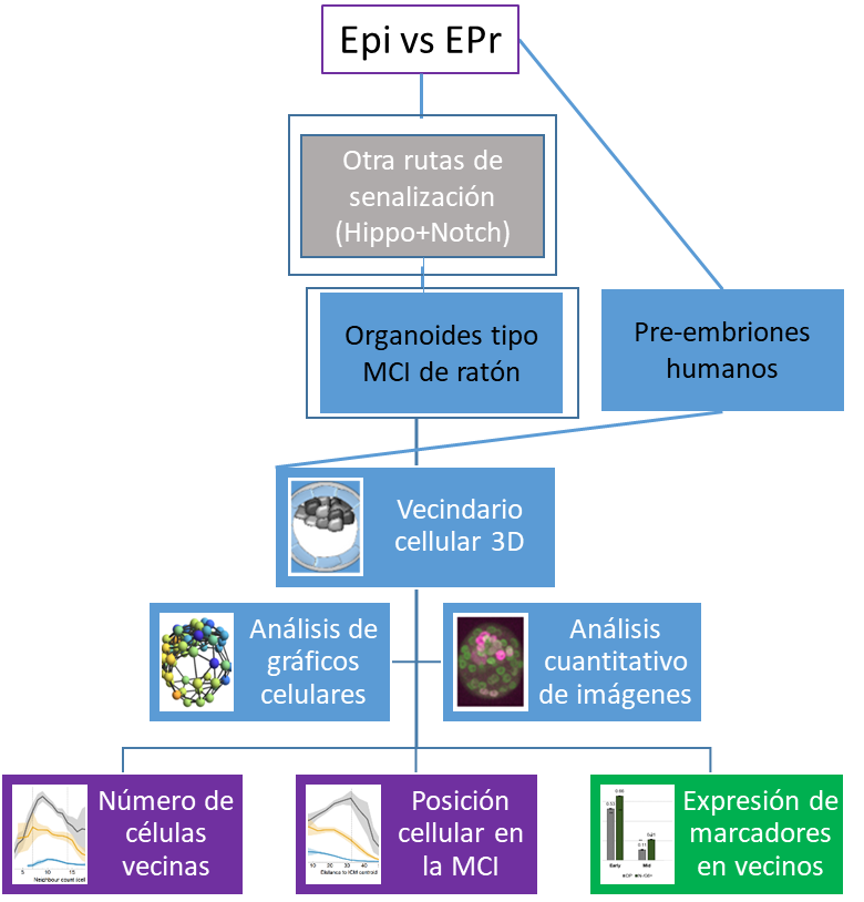 Proyecto