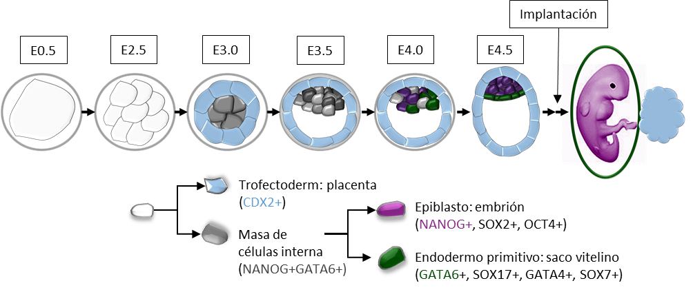 SMDlab