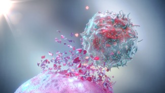 Muerte celular originada por los melanomas