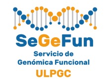 SEGEFUN