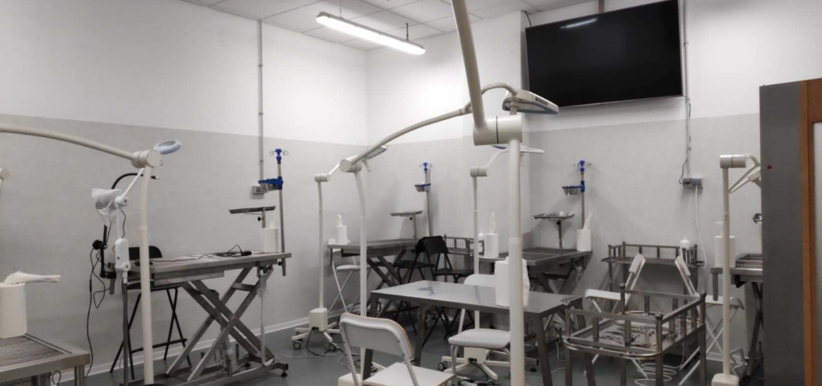 sala quirúrgica IUIBS