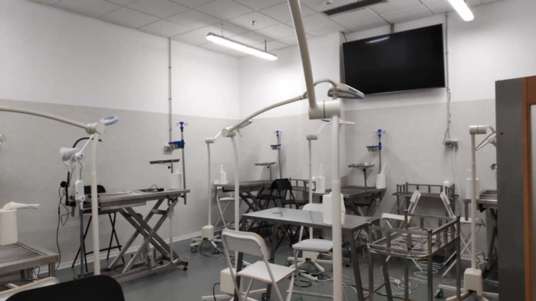 sala quirúrgica IUIBS