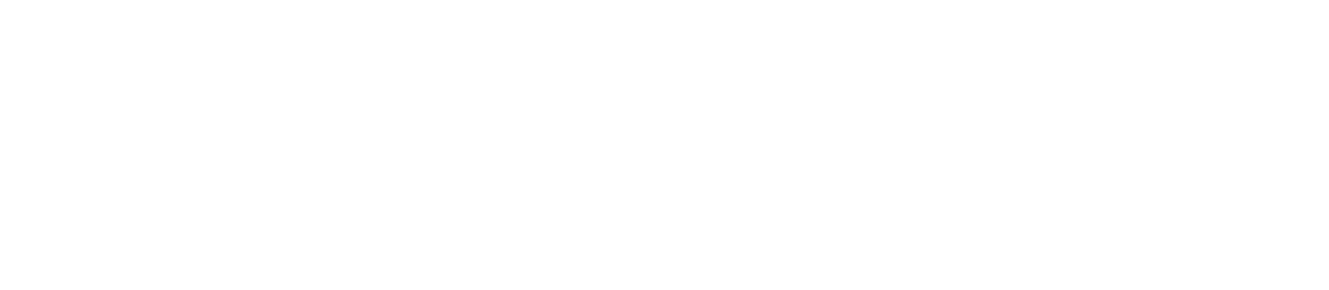 iUIBS